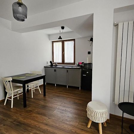 トゥルゴヴィシュテOld Town Apartamentアパートメント エクステリア 写真